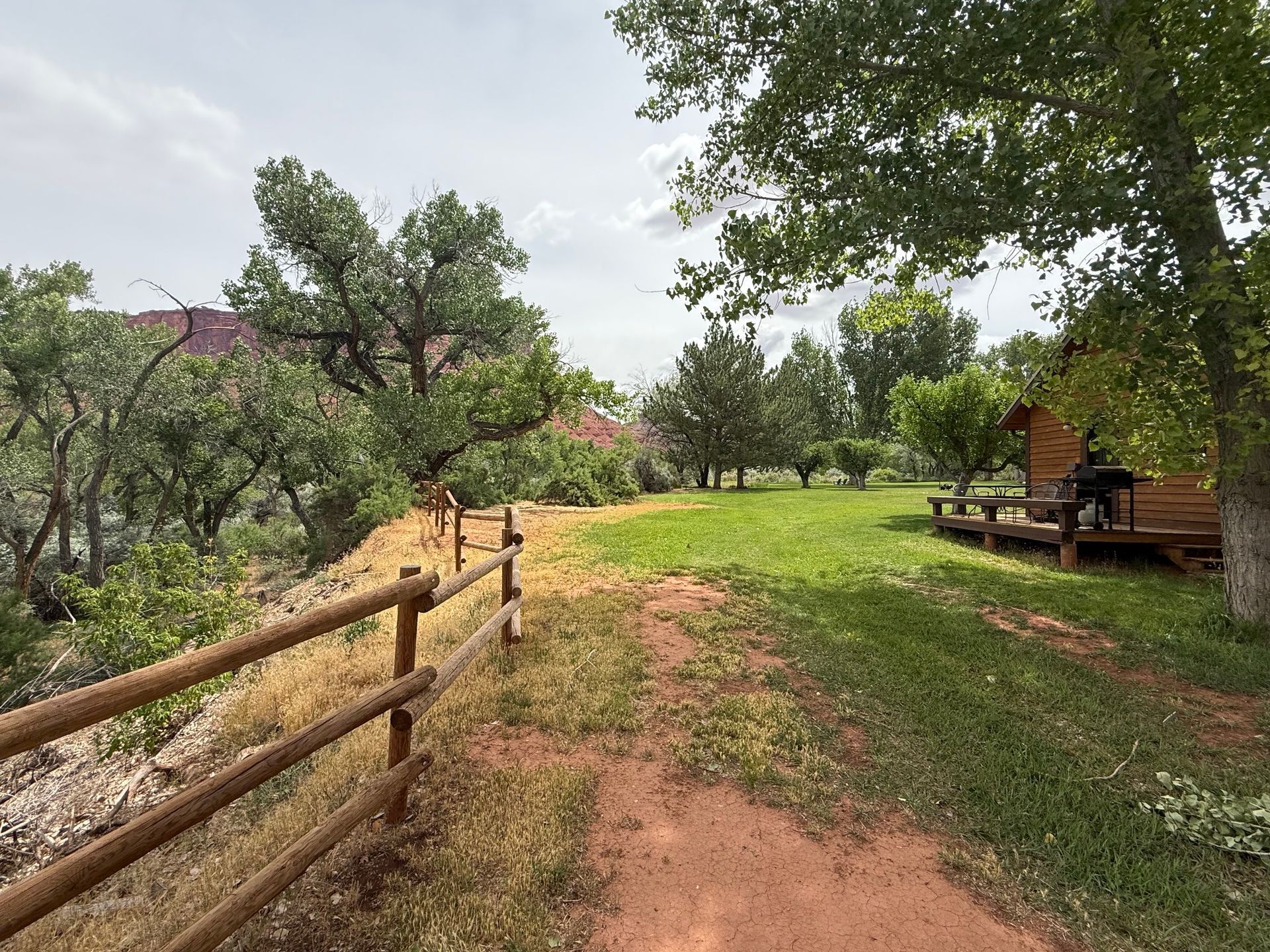 Dirt path through a green park with wooden fence and bench under trees