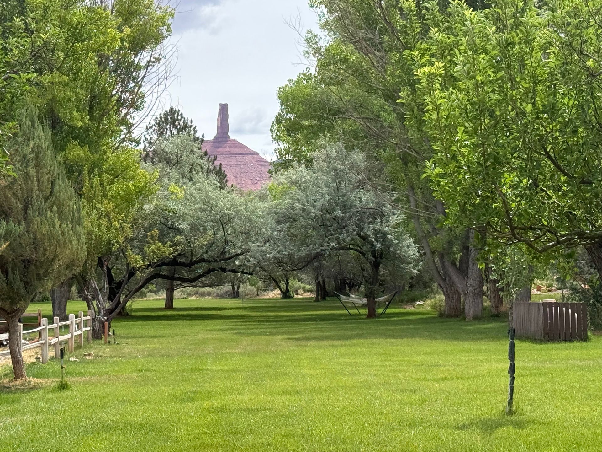 Tree-lined grassy path leading to a pink building in the distance