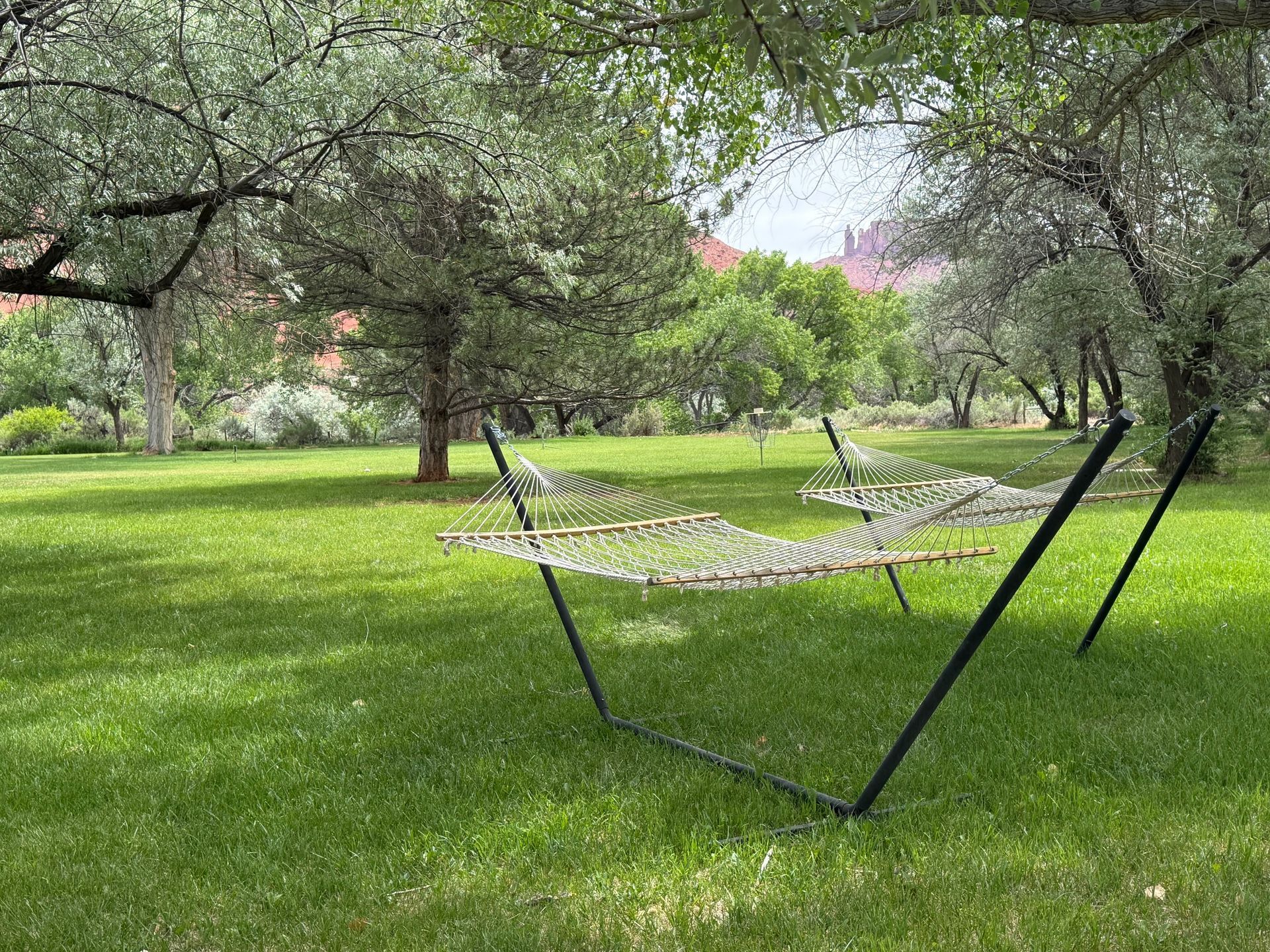 Two white lounge chairs in a green park under leafy trees