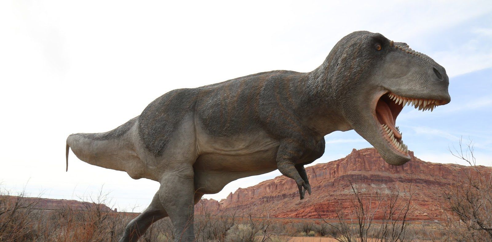 T-Rex statue roaring in a rocky desert landscape under a pale sky