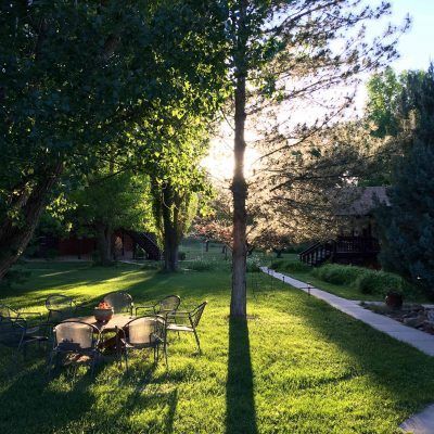 Sunlit backyard with tall tree, lawn chairs, and a garden path at dusk