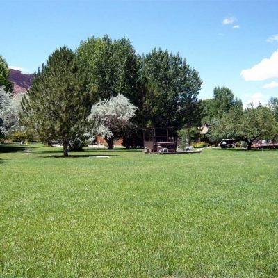 Sunny park with a wide green lawn, large trees, and a small gazebo in the background.