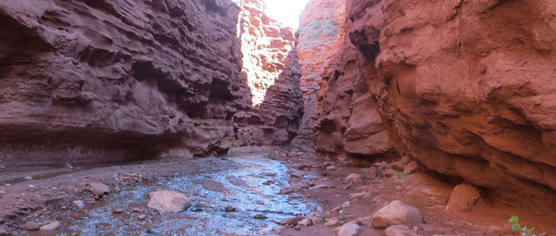 Narrow red canyon with rocky walls and a shallow stream on the ground