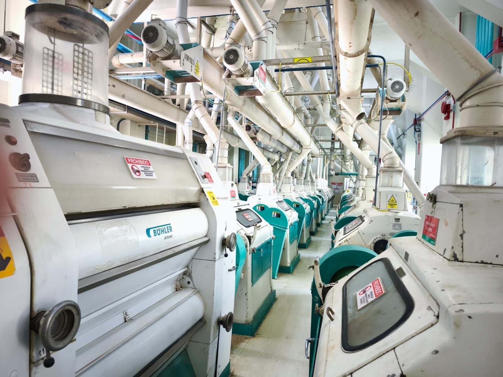 Interior de un molino harinero industrial con filas de máquinas procesadoras blancas y turquesas y tuberías aéreas.