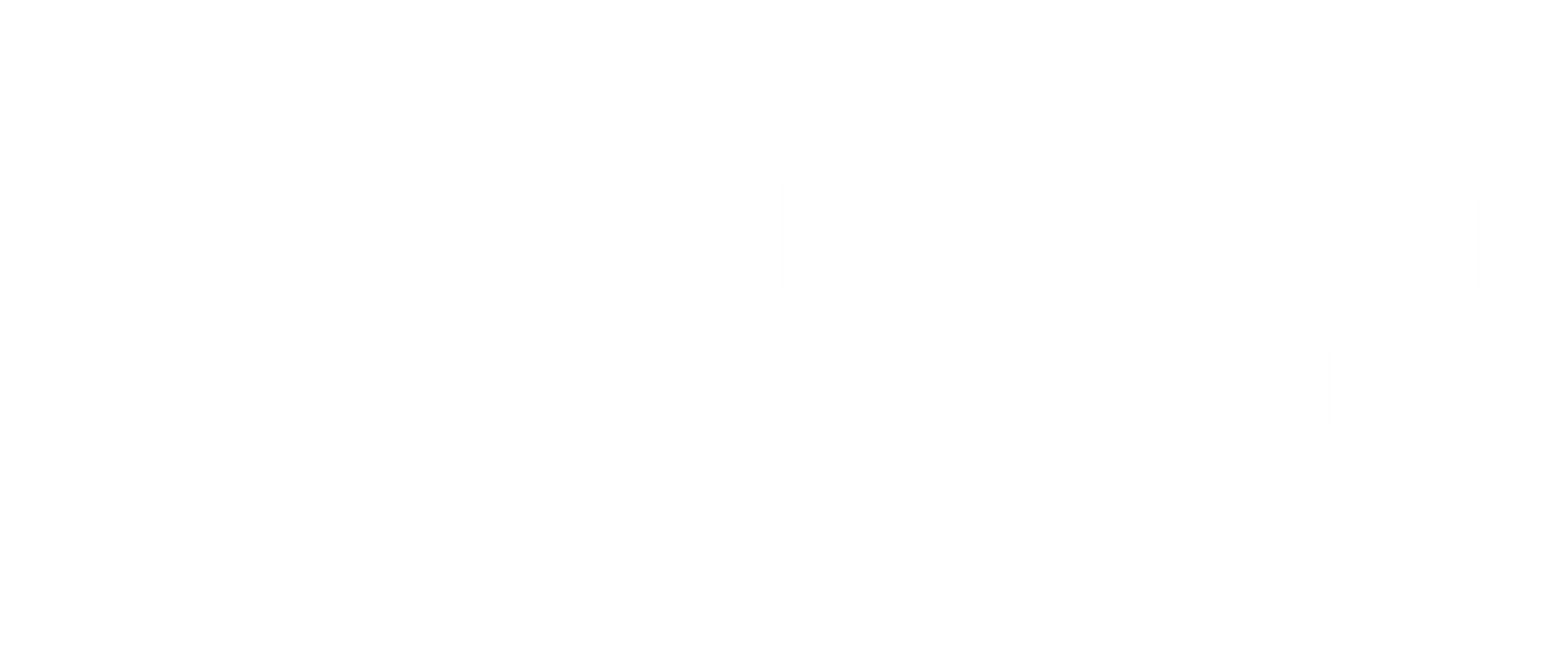 Pat Cronin Foundation logo