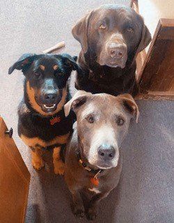 Office Support Team