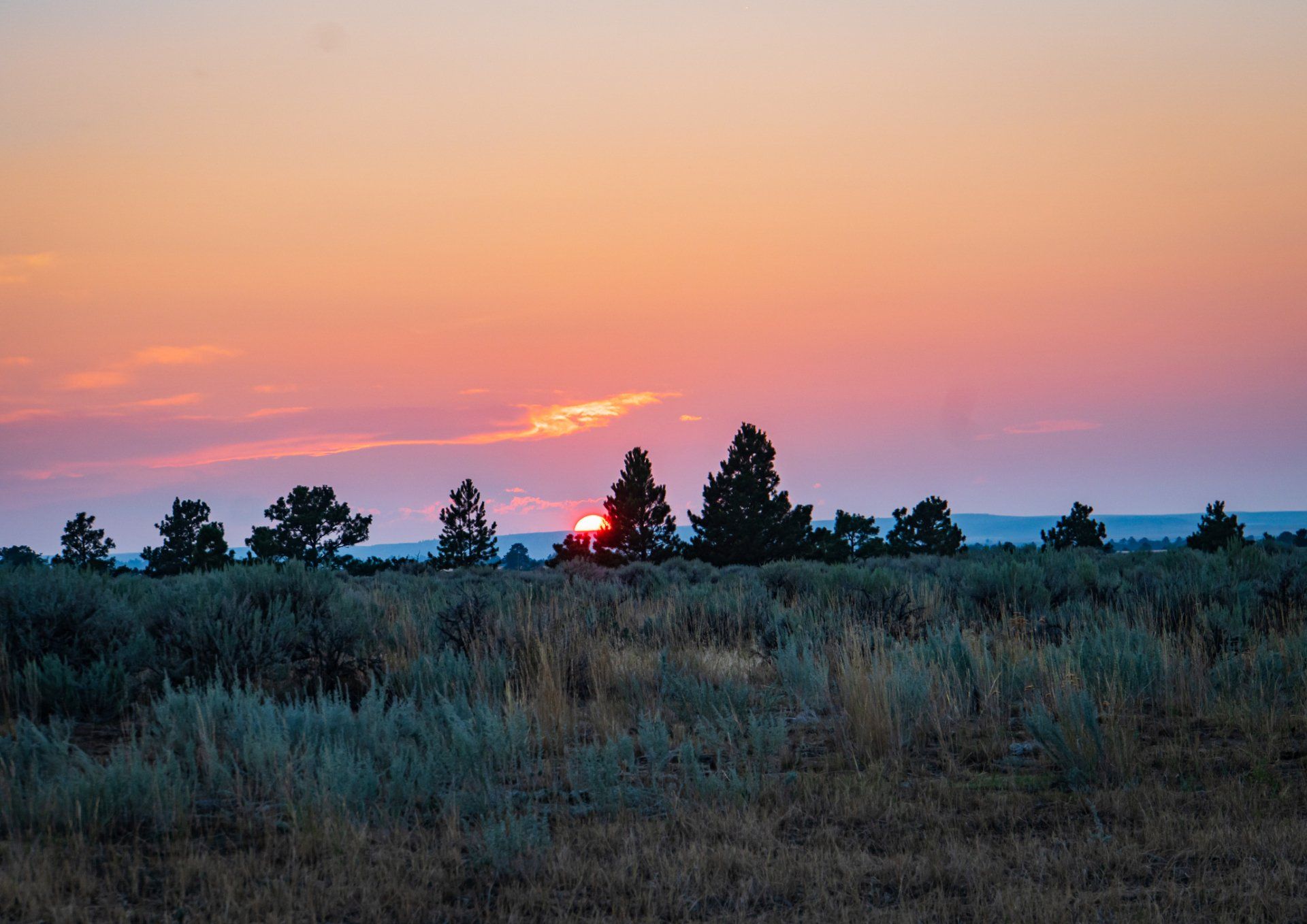 open field sunset