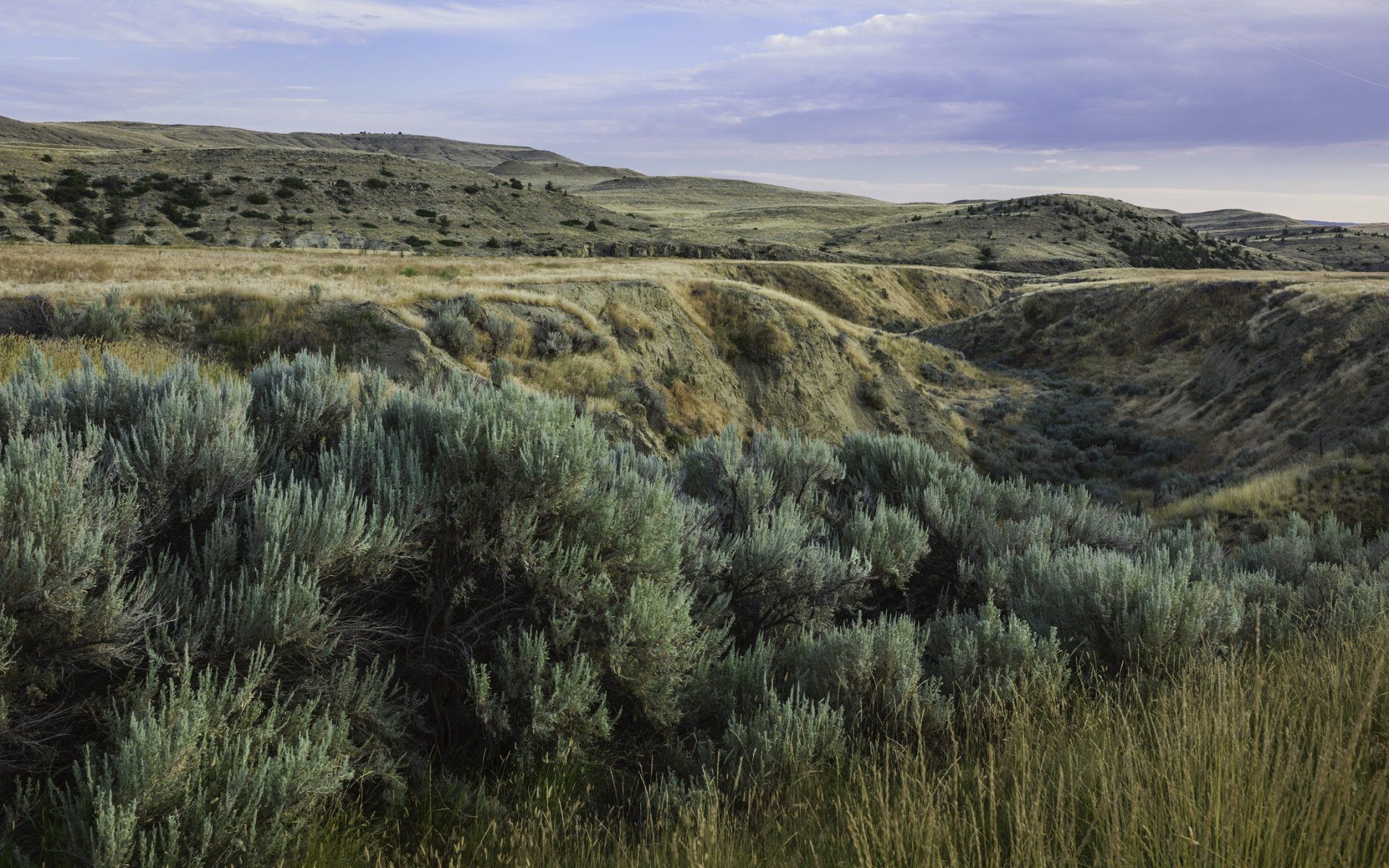 hills in montana