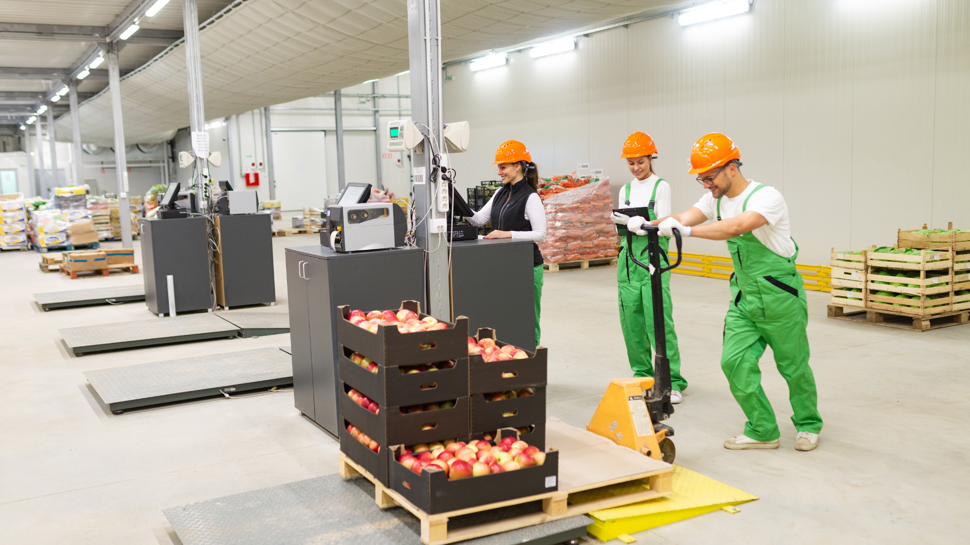 A group of people are working in a warehouse.