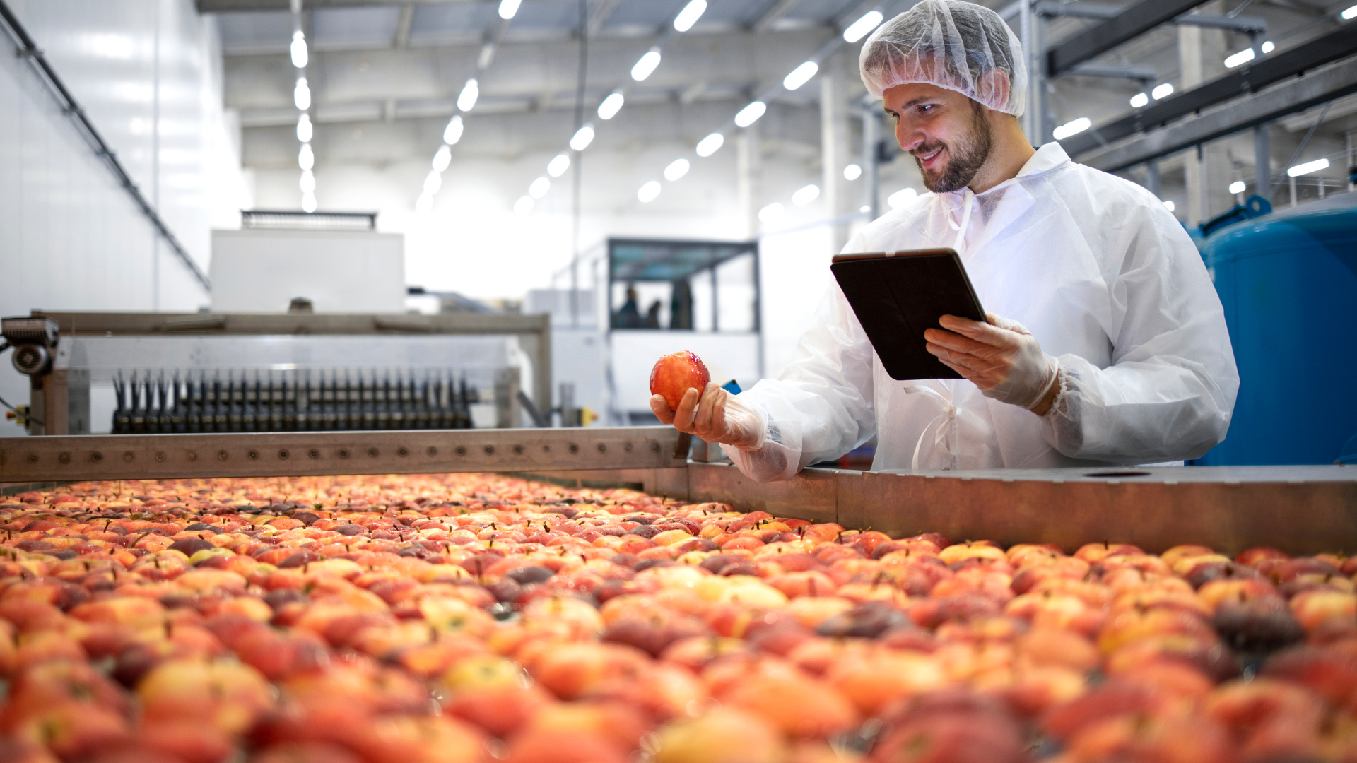 A man is looking at a tablet while standing in front of a conveyor belt filled with fruit.