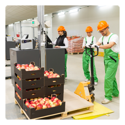 A group of people are working in a agriculture warehouse.