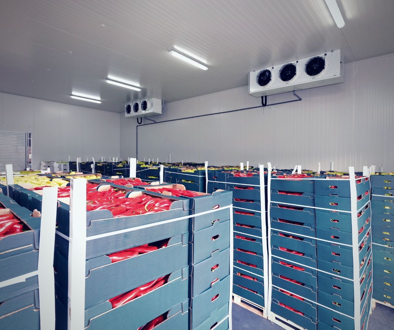 A room filled with crates of fruit and vegetables.