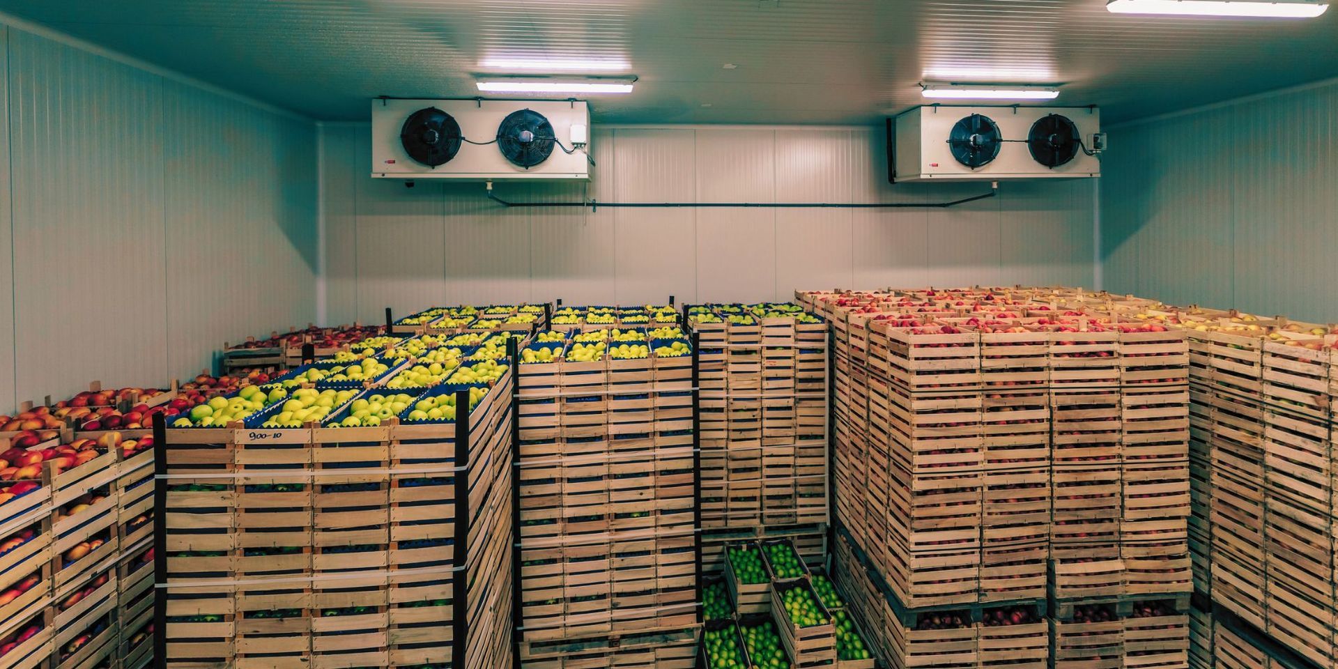 temperature data loggers for cold chain A large refridgerated room filled with crates of fruit and vegetables.