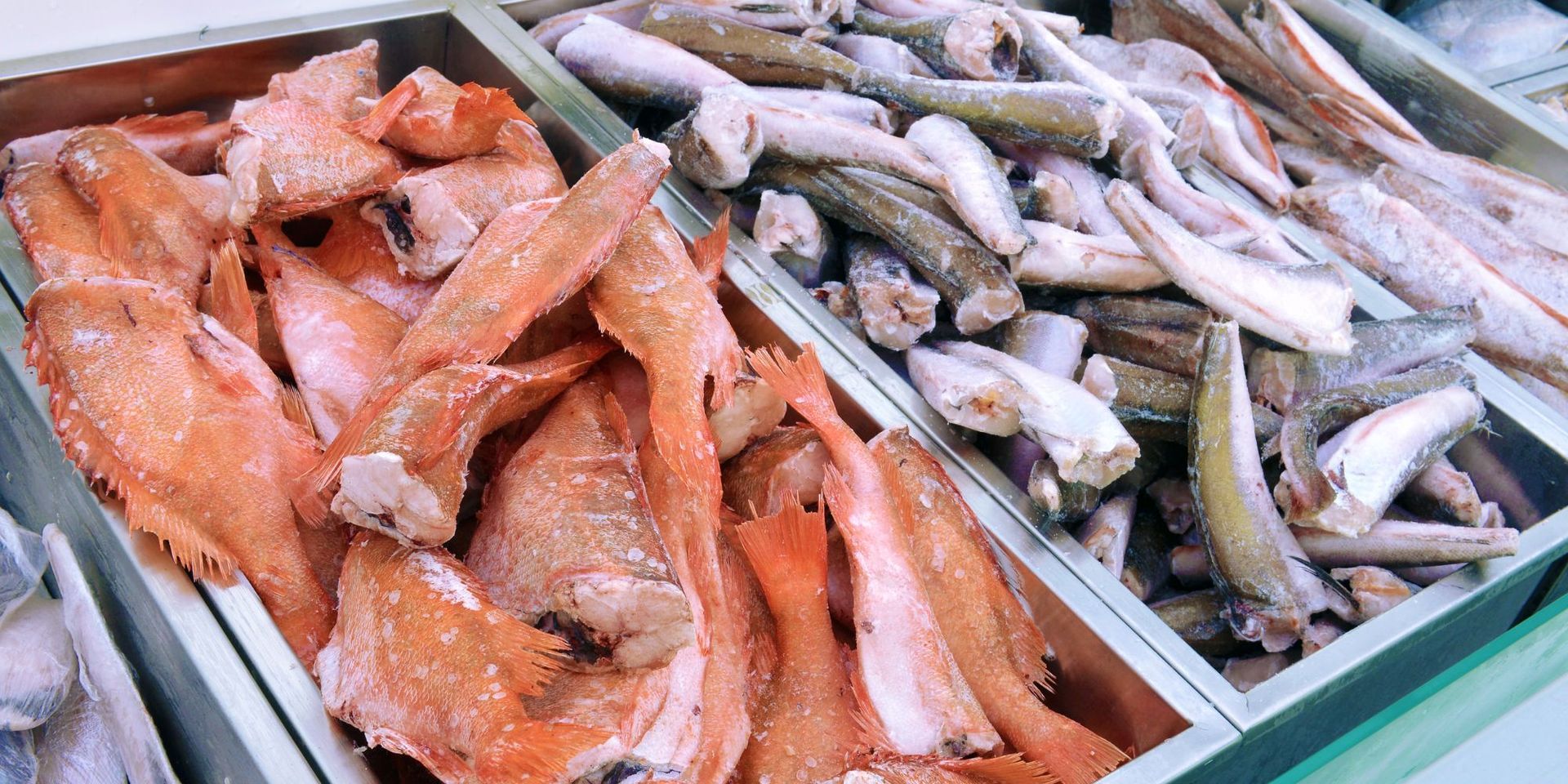 There are many different types of fish in the trays.