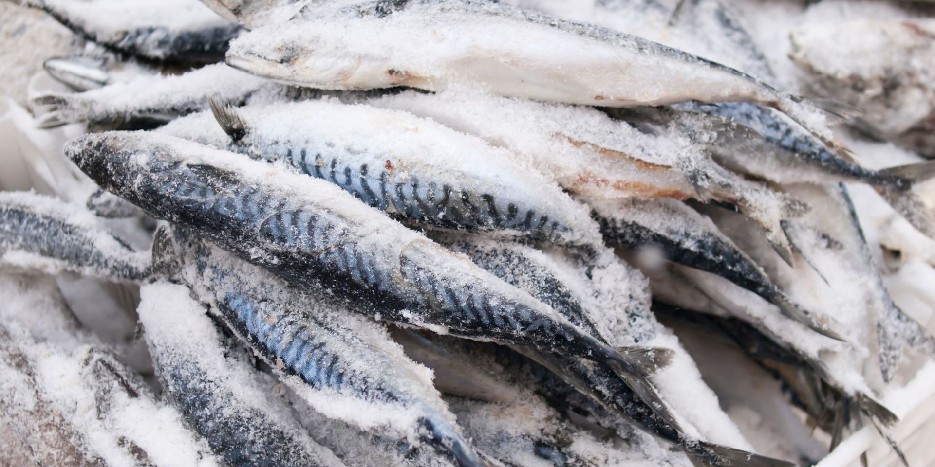 A bunch of frozen fish are sitting on top of each other on a table.