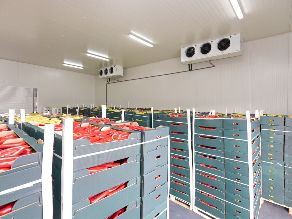 Temperature data loggers ensure perishable goods are stored under optimal conditions A warehouse filled with lots of boxes of fruit and vegetables.