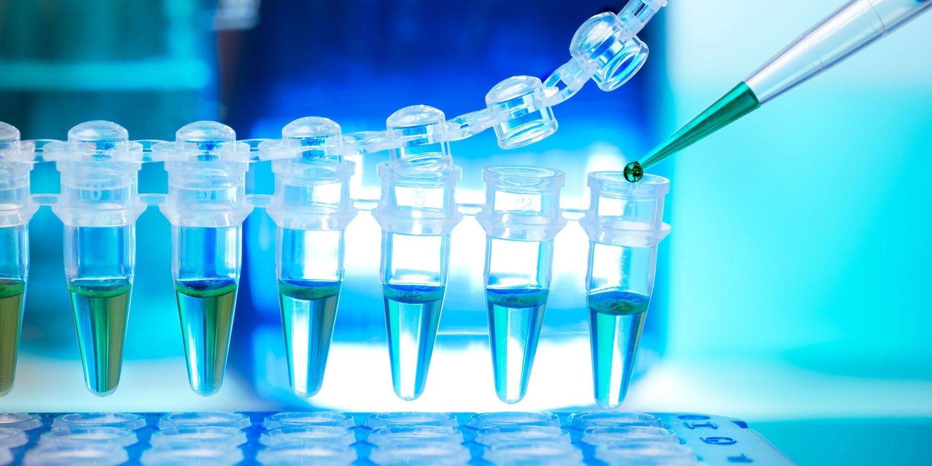A pipette is pouring liquid into a test tube in a laboratory.