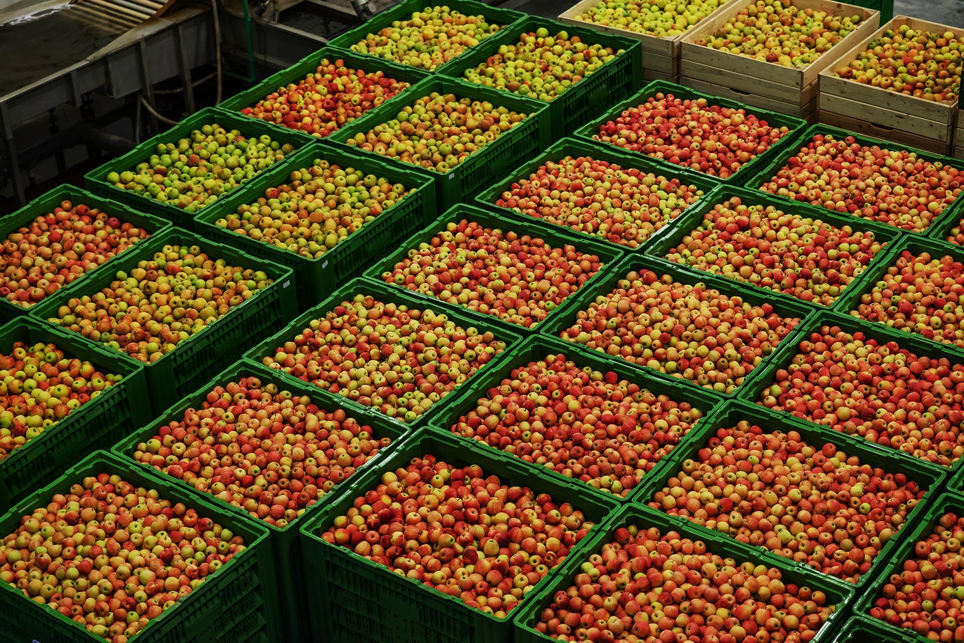 A bunch of green crates filled with red and yellow apples