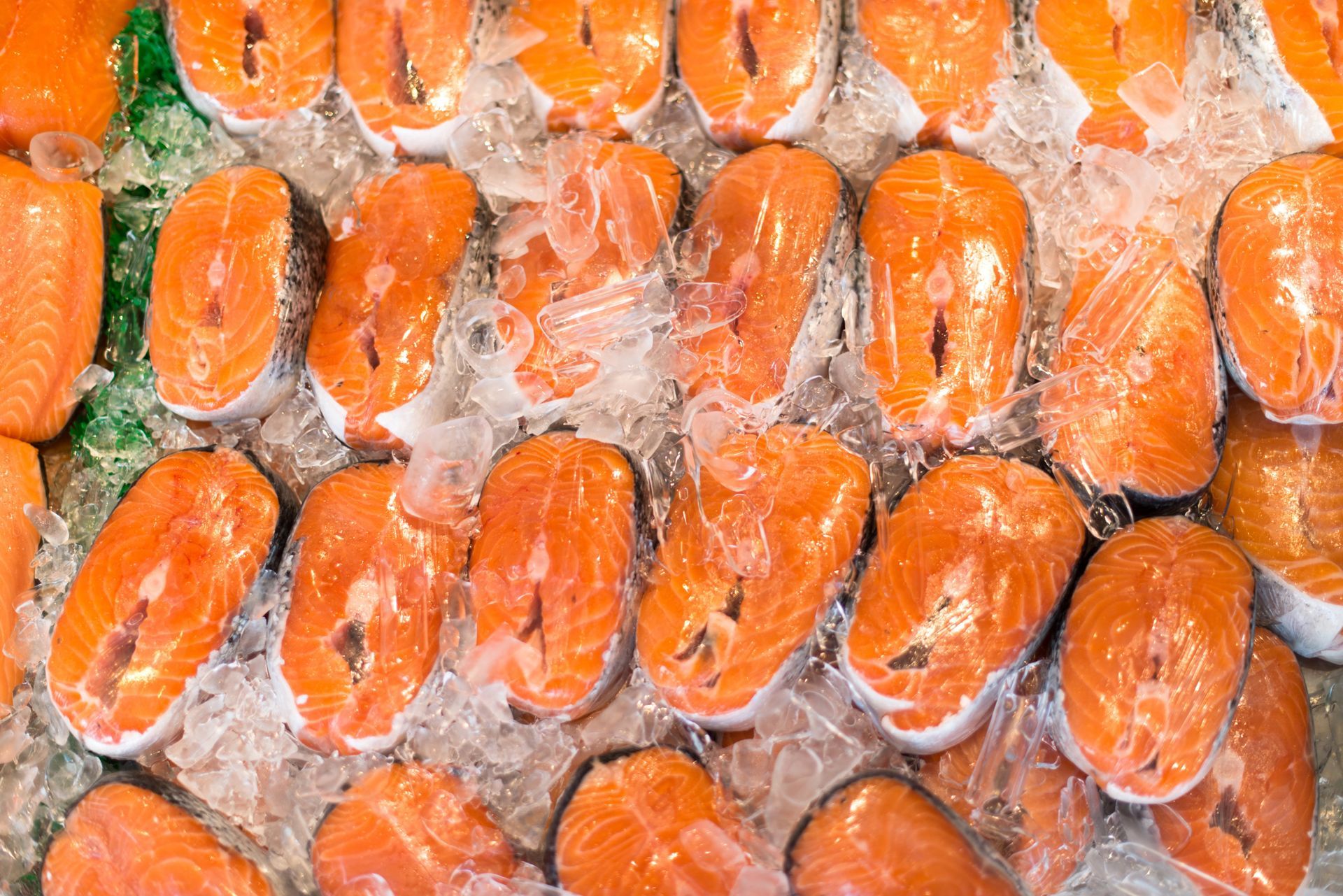 Inadequate temperature control during storage and transit can cause food safety issues A bunch of salmon slices sitting on top of ice.