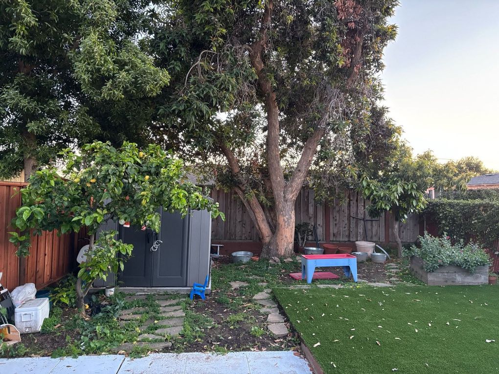 Backyard garden with large trees, lawn, shed, and a red bench near a wooden fence.