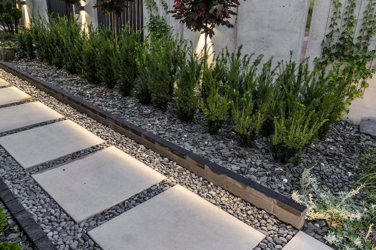 Modern garden bed with small shrubs beside stepping stones and gravel path