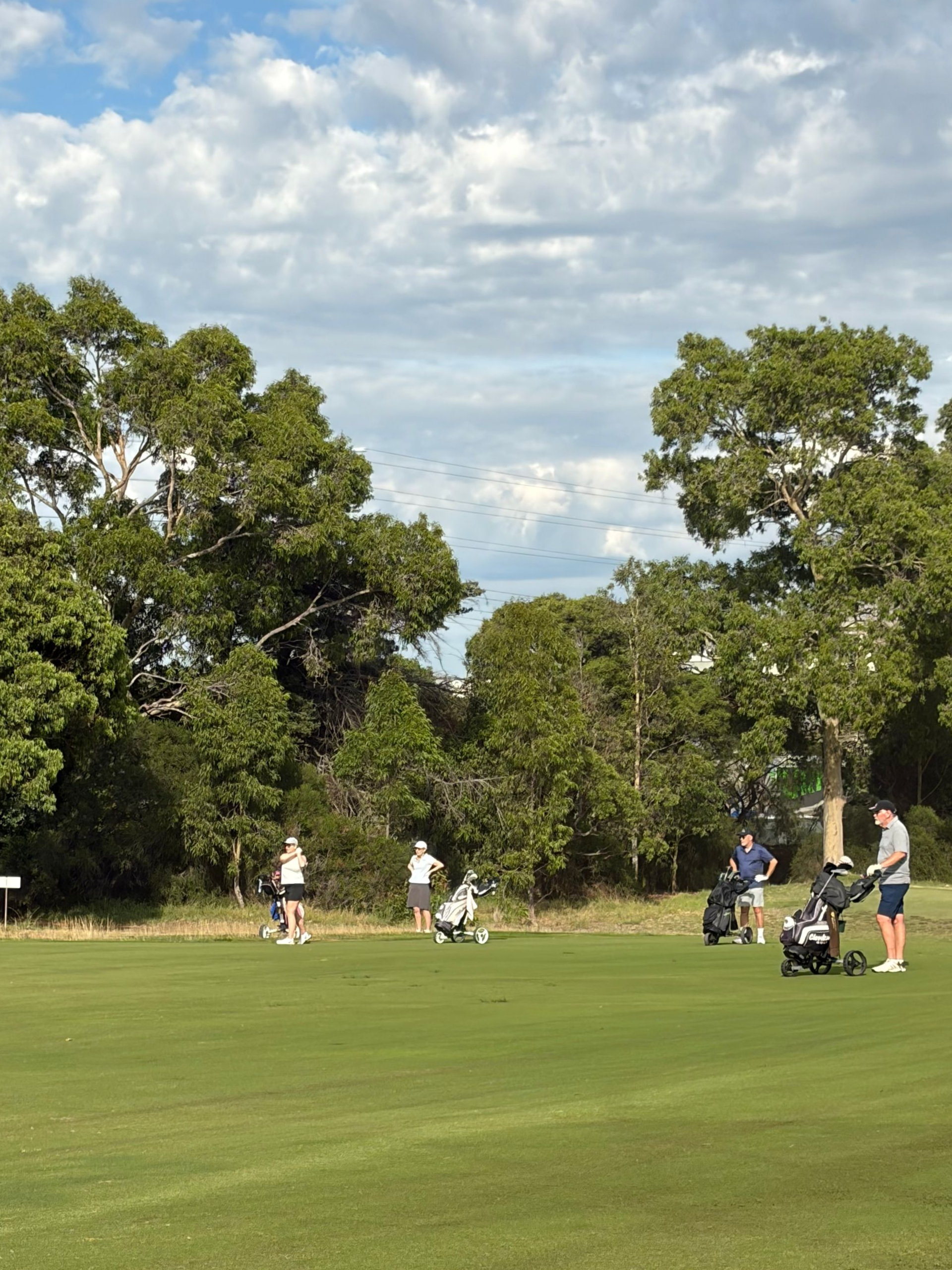 Four golfers stand on a sunlit green course with golf bags and carts, backed by trees under a cloudy sky. — Freedom Wealth Solutions in Mornington, VIC