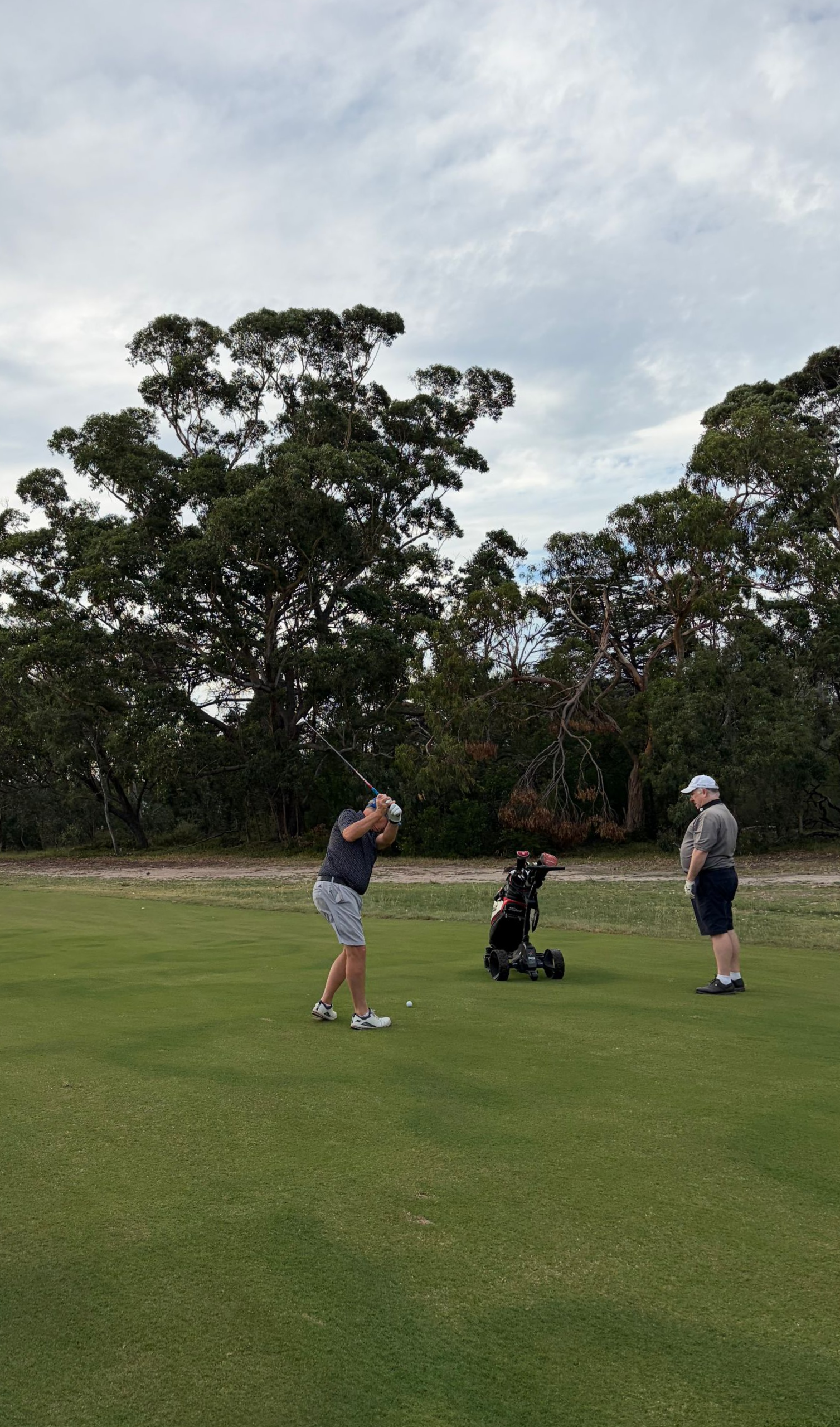 A golfer swings a club on a green course with a companion and a pushcart nearby, set against a backdrop of trees. — Freedom Wealth Solutions in Mornington, VIC