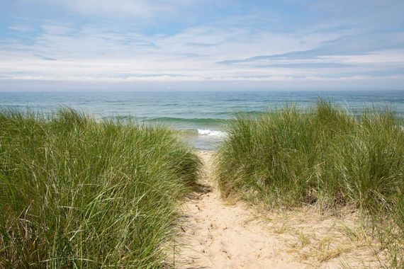 A sandy path leading to the ocean on a sunny day.