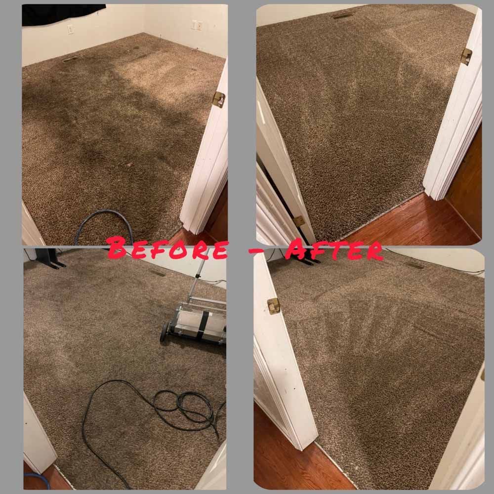 A before and after photo of a carpet being cleaned