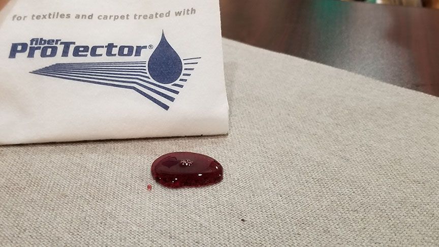 A dark red puddle on a beige carpet beside a white ProTector bag.