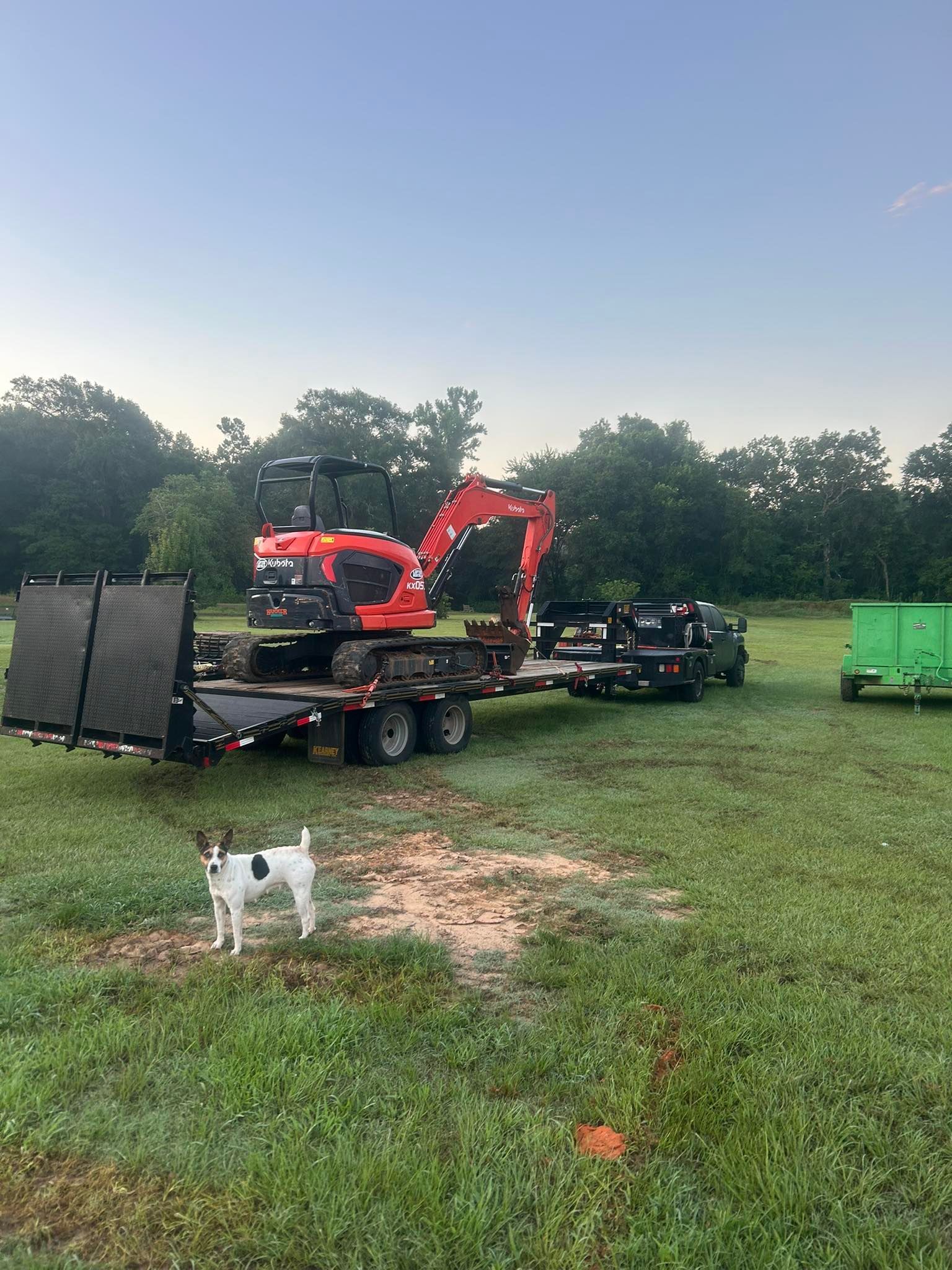 An orange excavator loaded onto a flatbed trailer in a grassy field, with a small dog standing in the foreground.