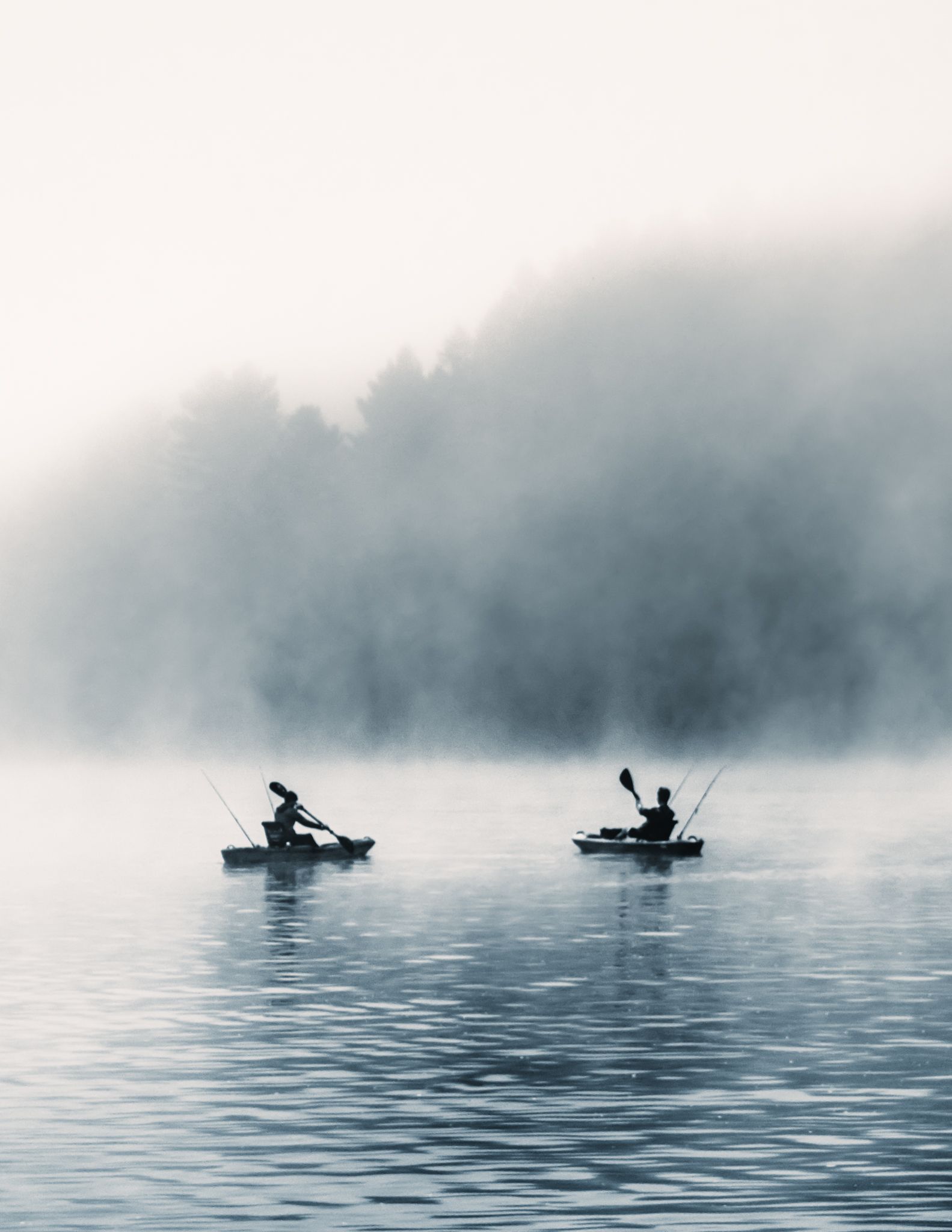 Kayakers