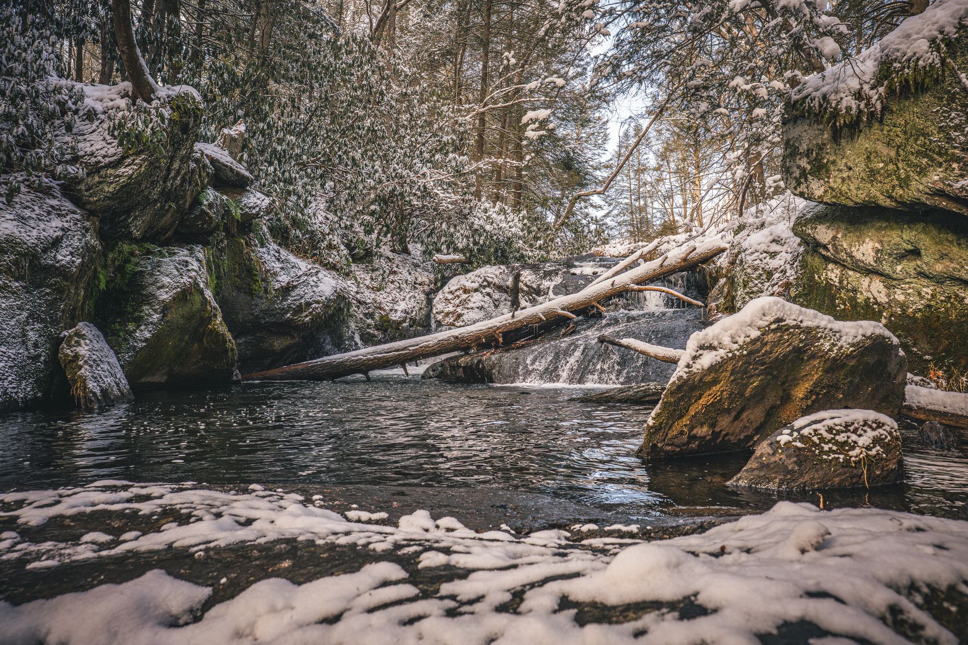 Wild Creek - Bottom of Falls