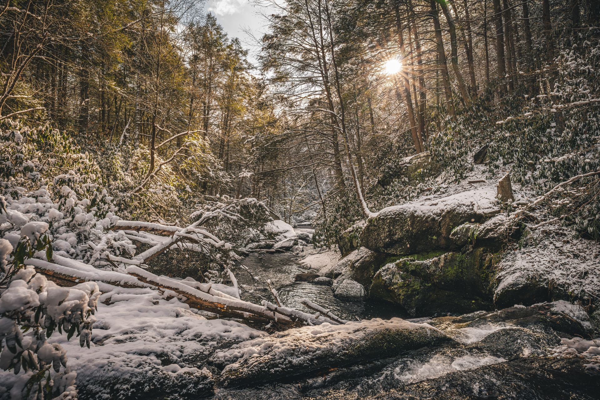 Wild Creek - Top of Falls