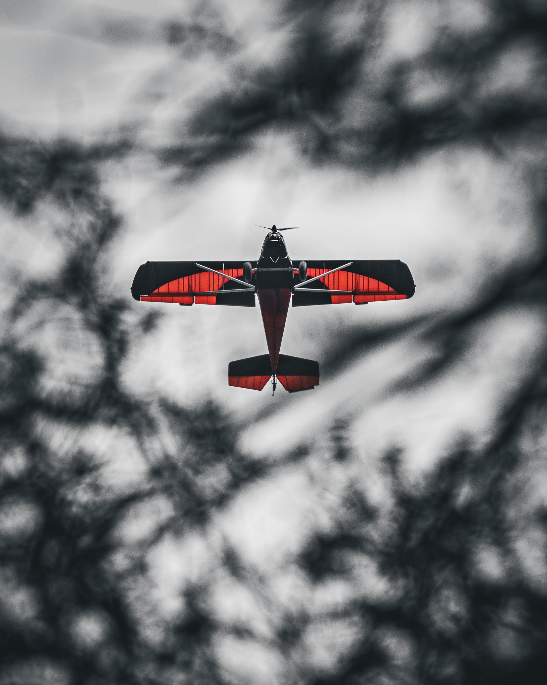 Flight