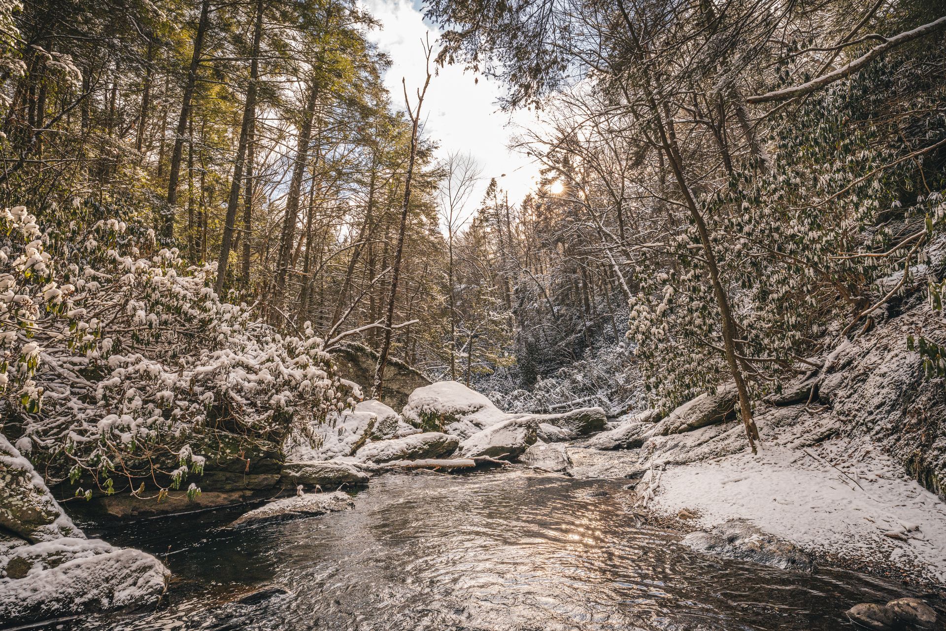 Wild Creek - Downstream