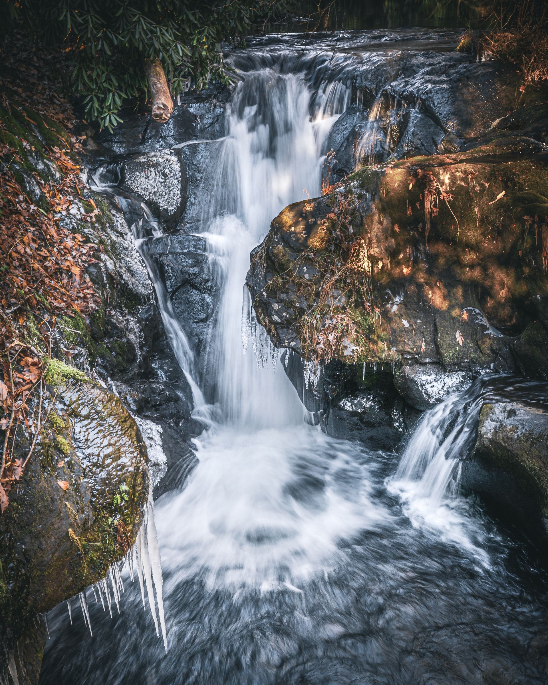 Wild Creek - Waterfall