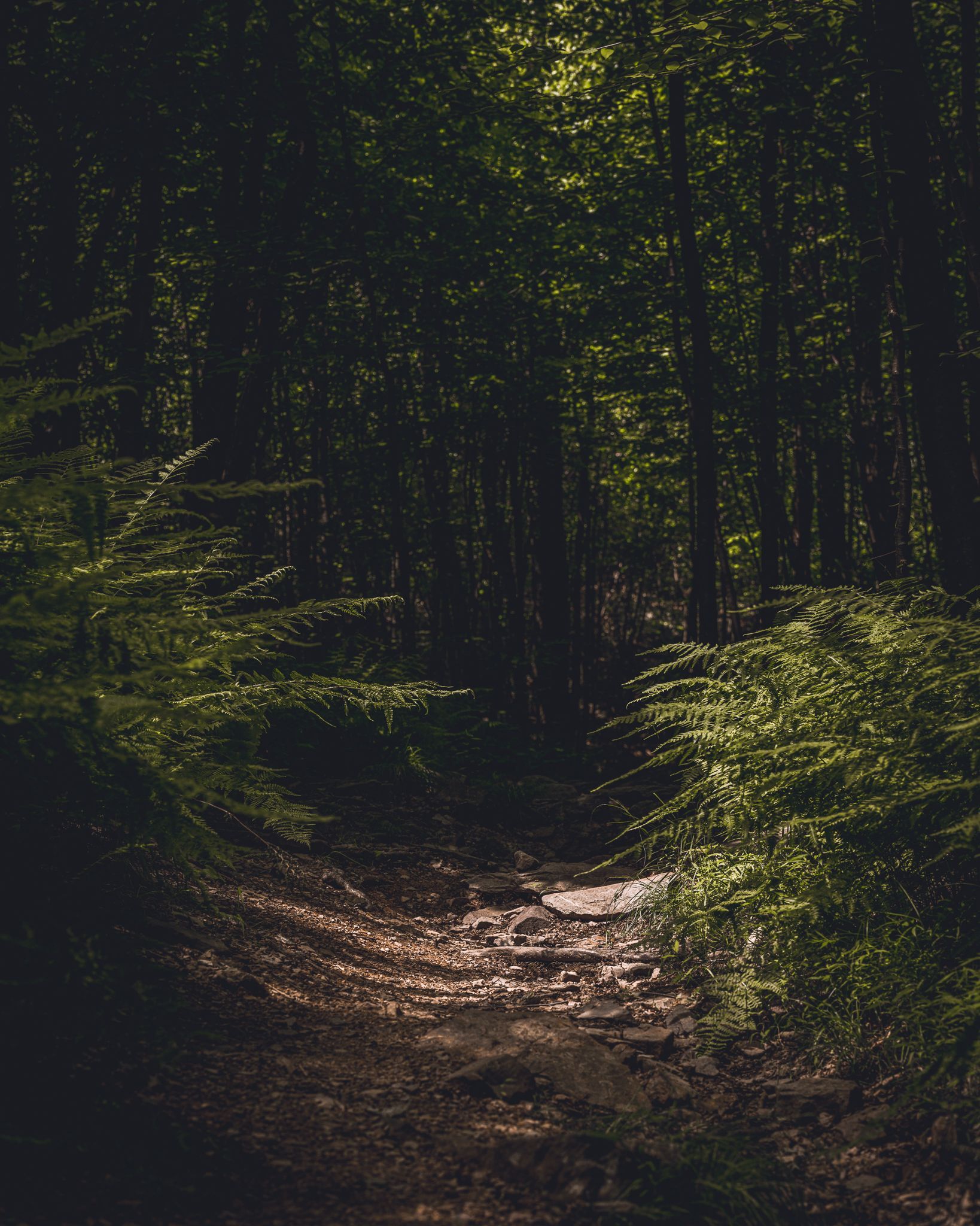 Appalachian Trail