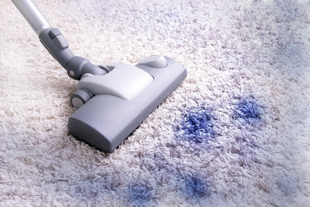 A Vacuum Cleaner is Cleaning a White Carpet With Blue Stains — Great Lakes Carpet Cleaning & Restoration In Wingham, NSW