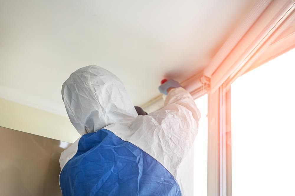 A Man in a Protective Suit is Removing a Mould on a Ceiling— Great Lakes Carpet Cleaning & Restoration In Forster, NSW