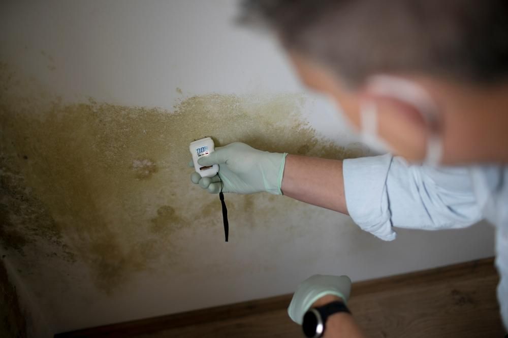 A Man Wearing a Mask and Gloves is Holding a Thermometer in Front of a Mouldy Wall — Great Lakes Carpet Cleaning & Restoration In Port Macquarie, NSW
