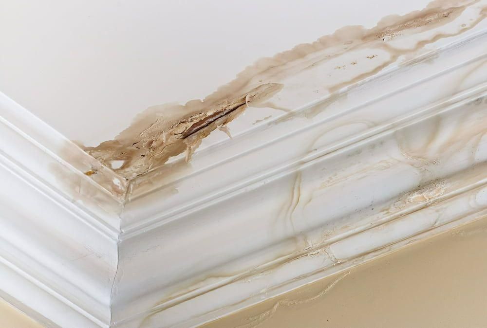 A Corner of a Ceiling With a Lot of Stains on It — Great Lakes Carpet Cleaning & Restoration In Wingham, NSW