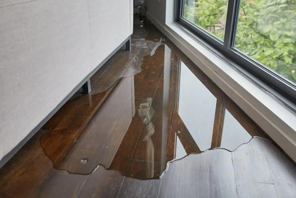 A Room With a Flooded Floor and a Window — Great Lakes Carpet Cleaning & Restoration In Hallidays Point, NSW