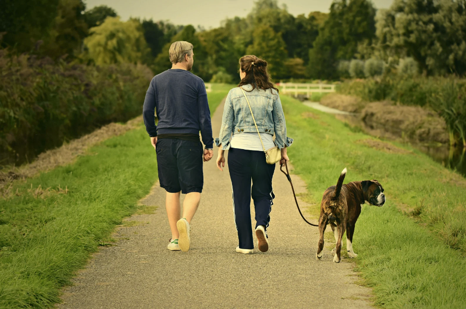 A couple walking hand in hand down a country path with their dog, surrounded by lush greenery.