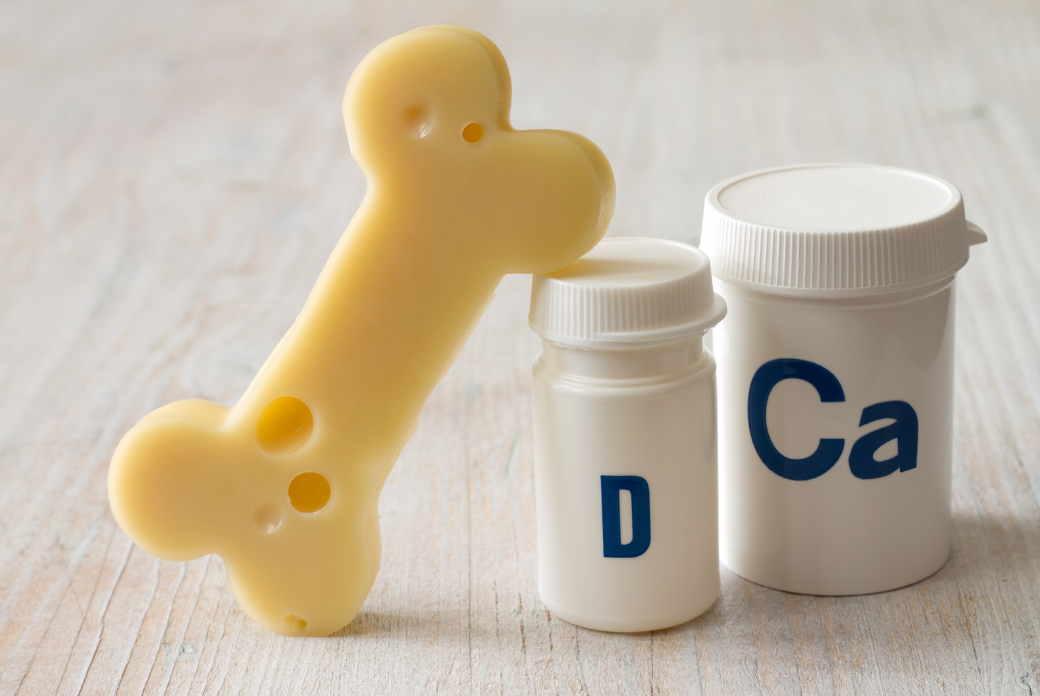 Bone model with vitamin D and calcium supplement bottles
