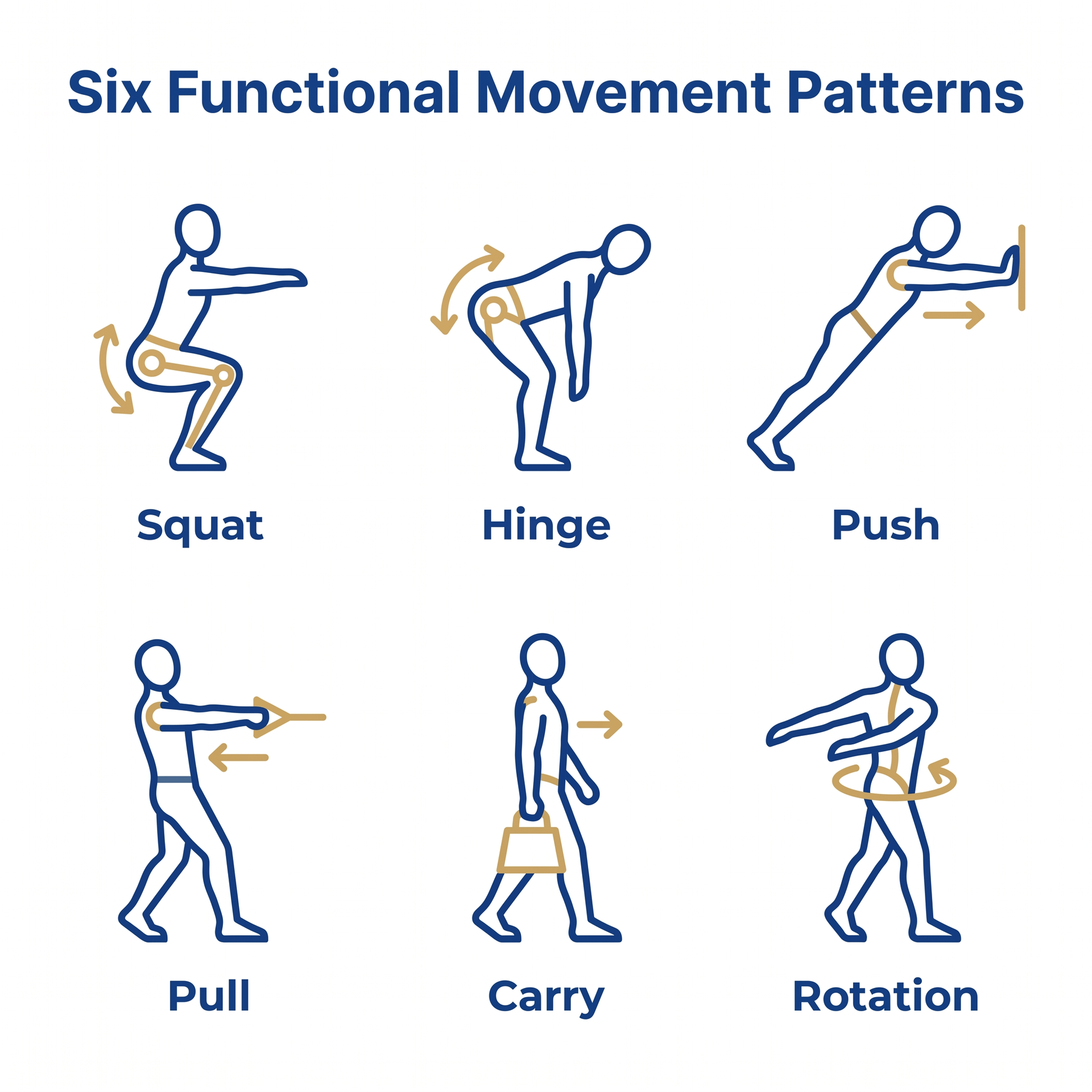 Six functional movement patterns: squat, hinge, push, pull, carry, and rotation.