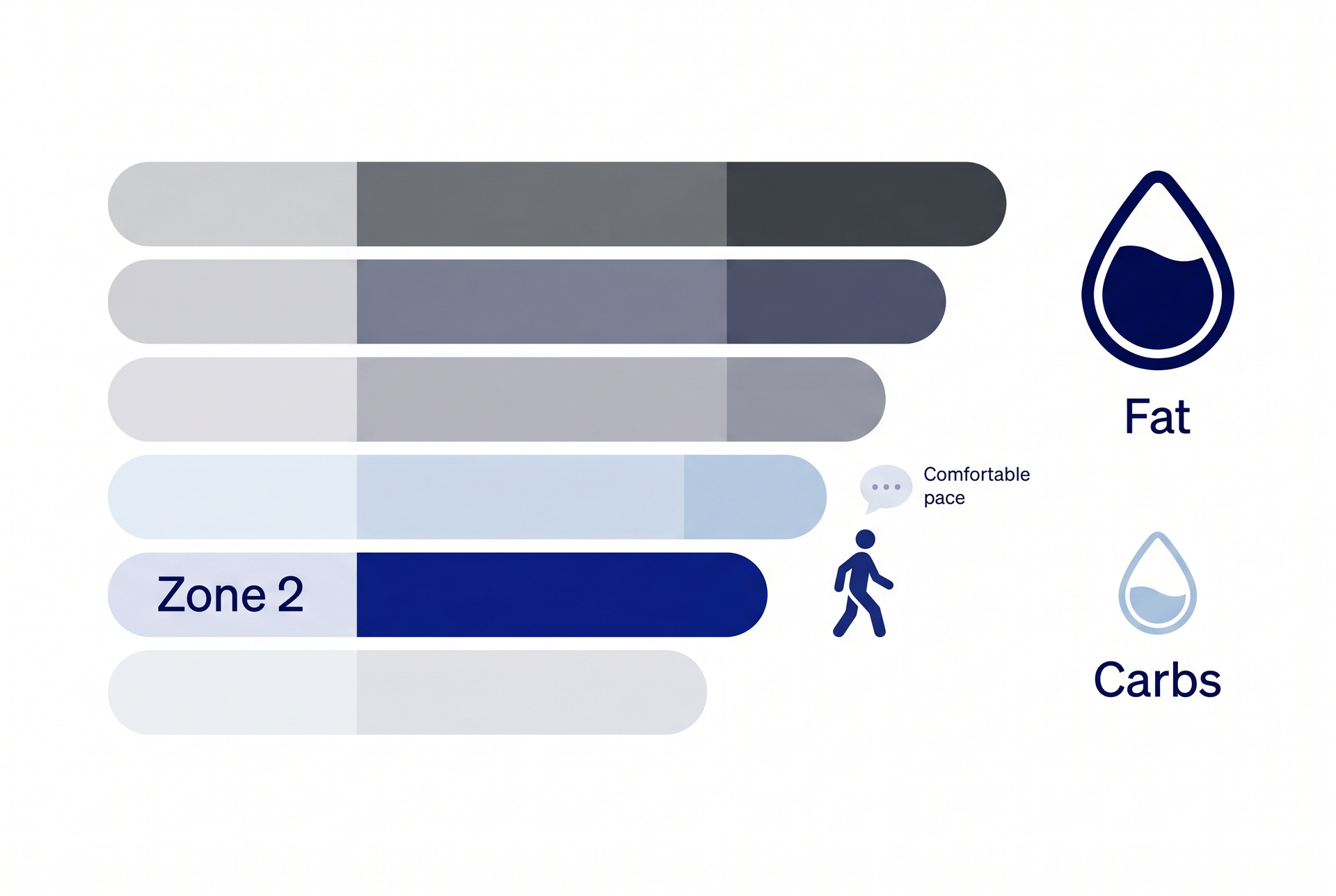 A simple diagram showing a heart-rate zone scale with zone 2 highlighted, next to a fuel gauge shifting from fat to carbohydrate as intensity rises.