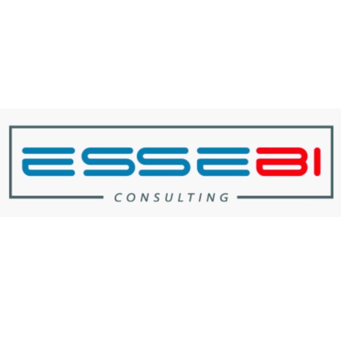 Logo per ESSEBI CONSULTING con la scritta 