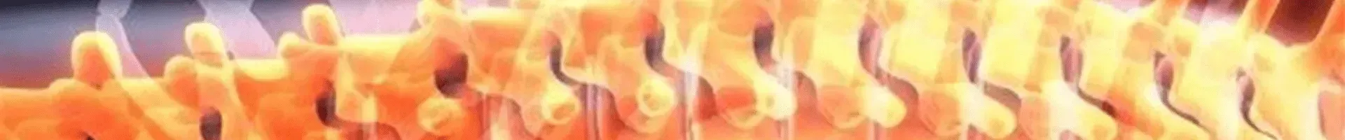 picture of spine