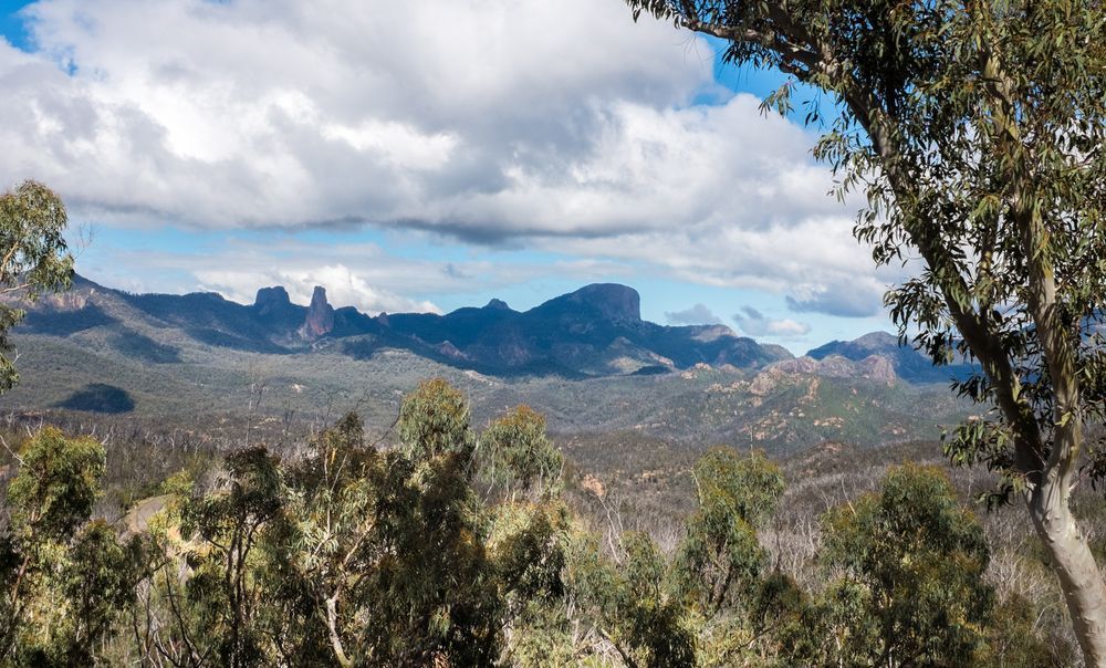 A View of a Mountain Range With Trees in the Foreground — Steel Frame Company In Coonabarabran, NSW